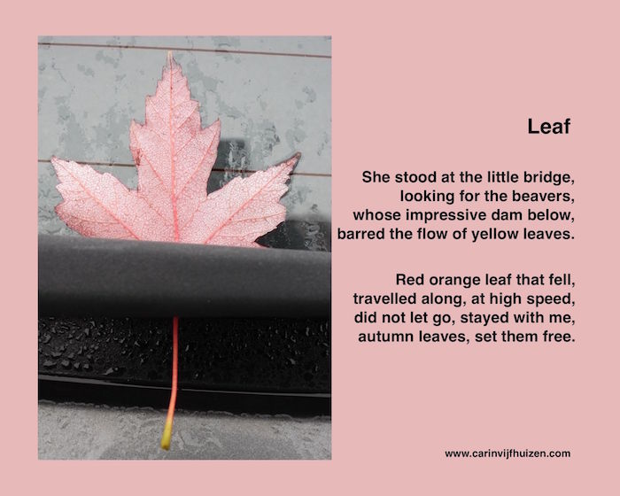 LEAF